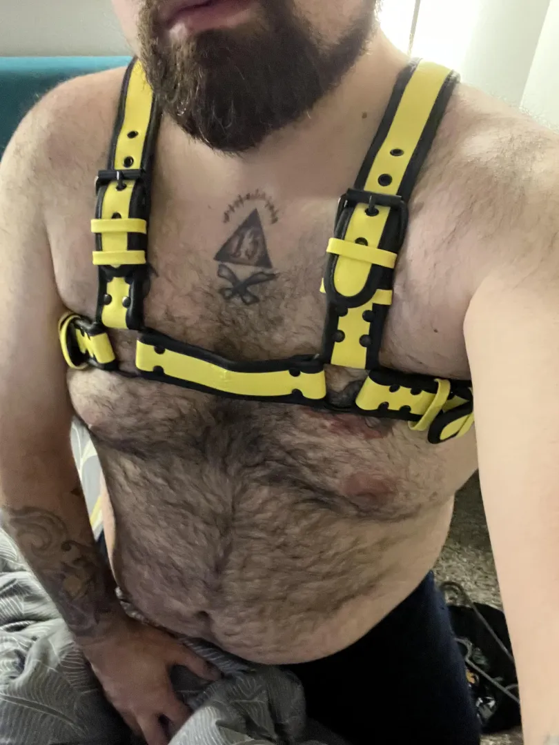 Got myself a harness, feels sexy as hell 😈 posted by SpoidaBoit