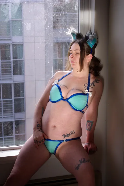 I just wanna be a kitty in a window soaking up the sunshine by ZoeyWyldeOfficial