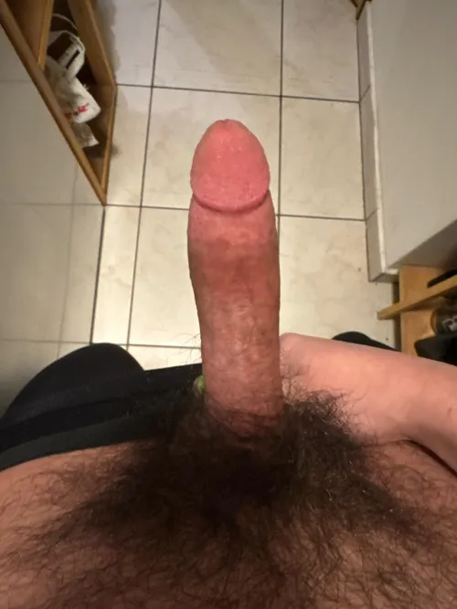 Looking for other bushy guys to edge with and talk pubes together by cldhue