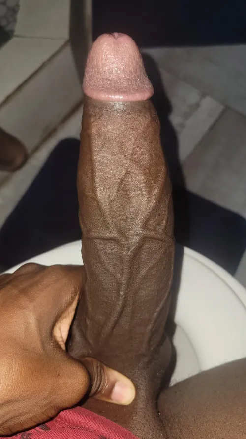 What does it remind you of? by Ok_Courage_8224