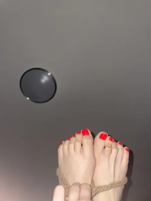 bondage feet [oc] by iluvc4tz