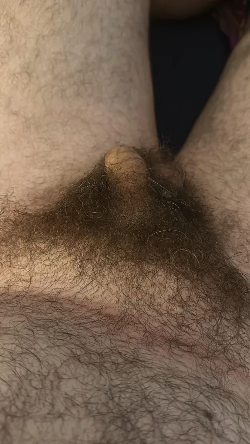 Always been fascinated by pubes so here’s mine and little softie by hornypaul333