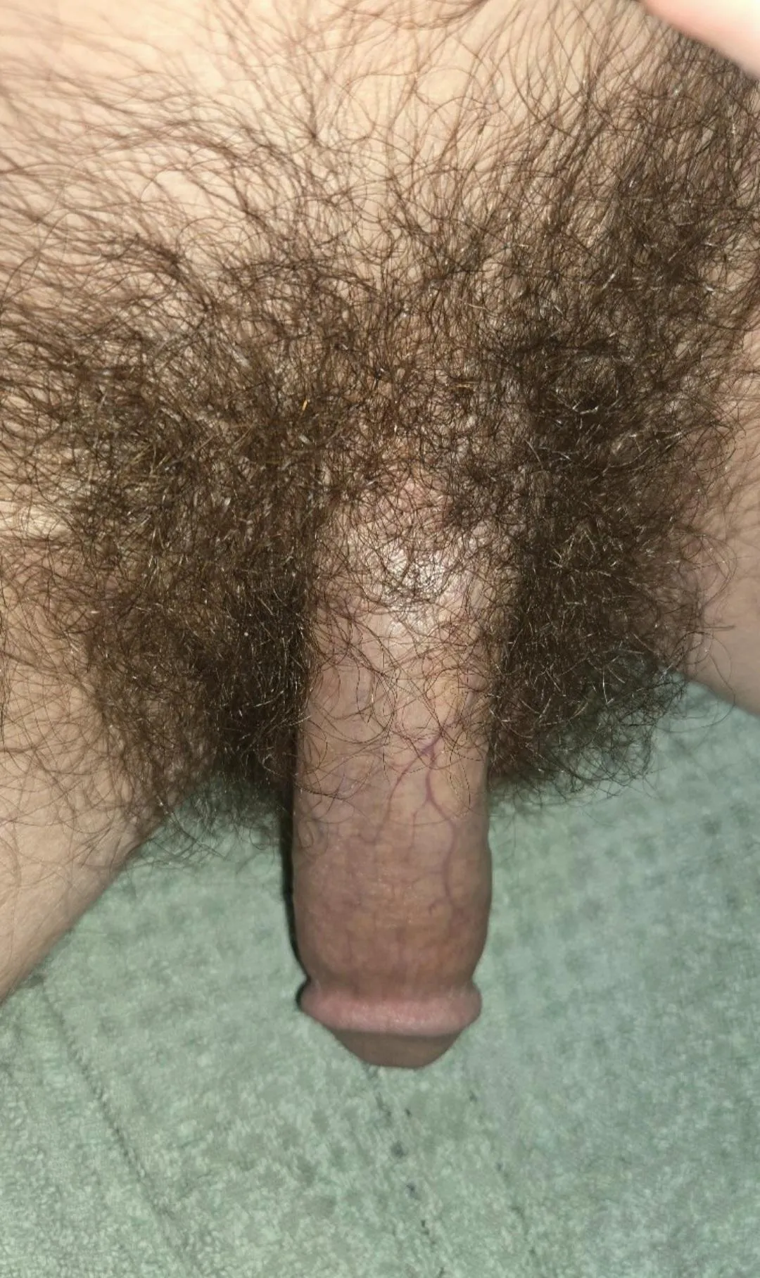 Scary.. or legendary posted by After-Zone5288