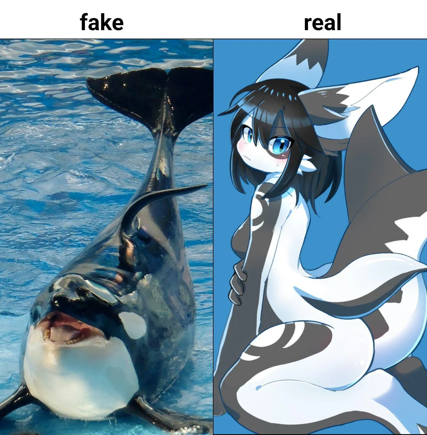 Fake vs Real (pipinonopino) posted by mollylooli