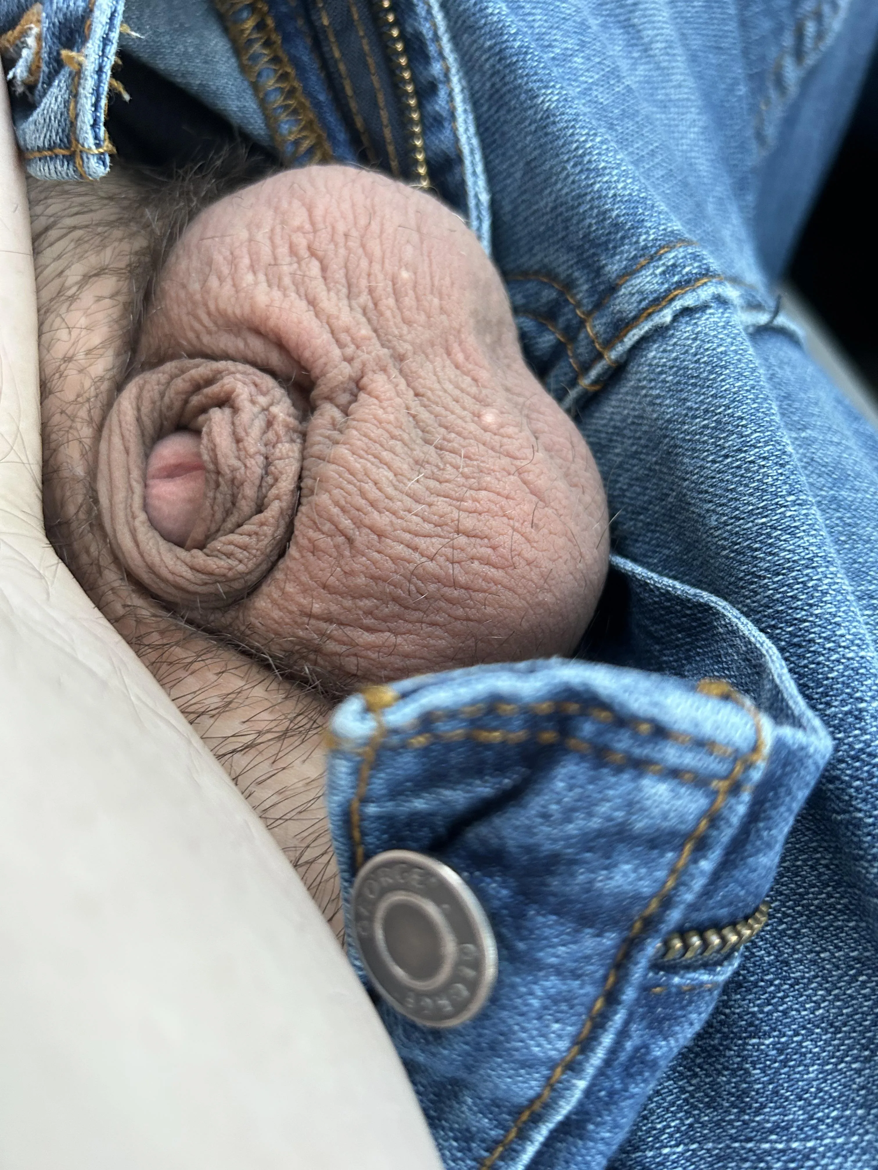 I tried but he’s shy! posted by throwaway1238893737