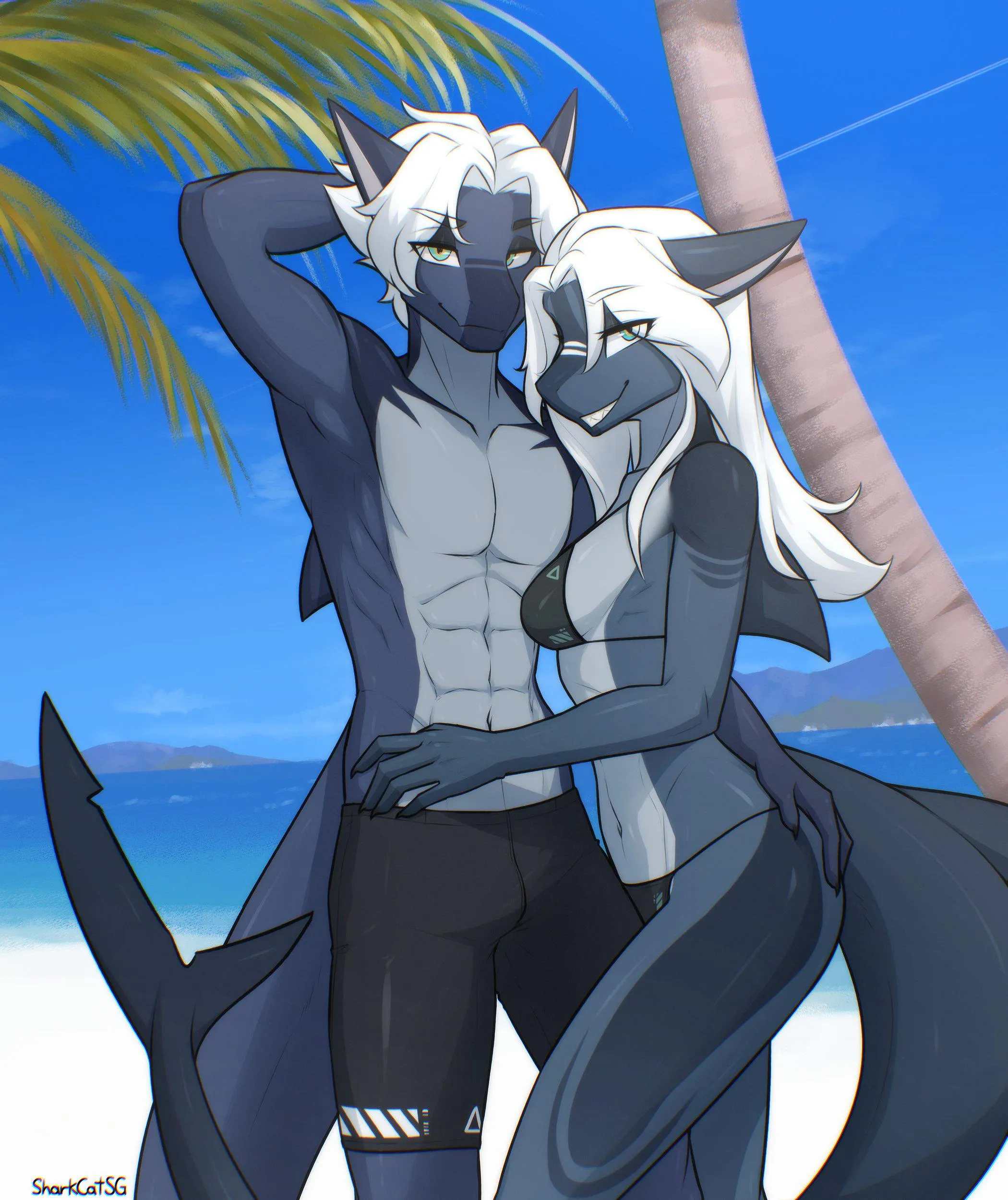 Shark Couple [MF] (SharkCatSG) posted by pinkynoseddd