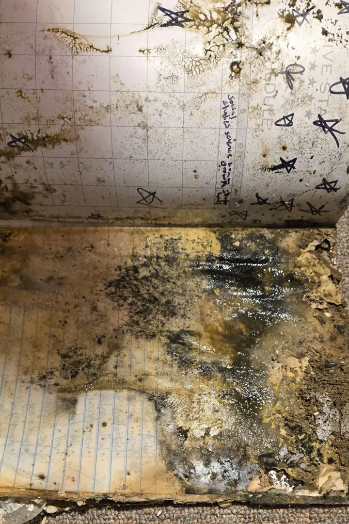 A pipe leak drenched this notebook in water and it wasn't taken care of for months posted by Ahnoyihng