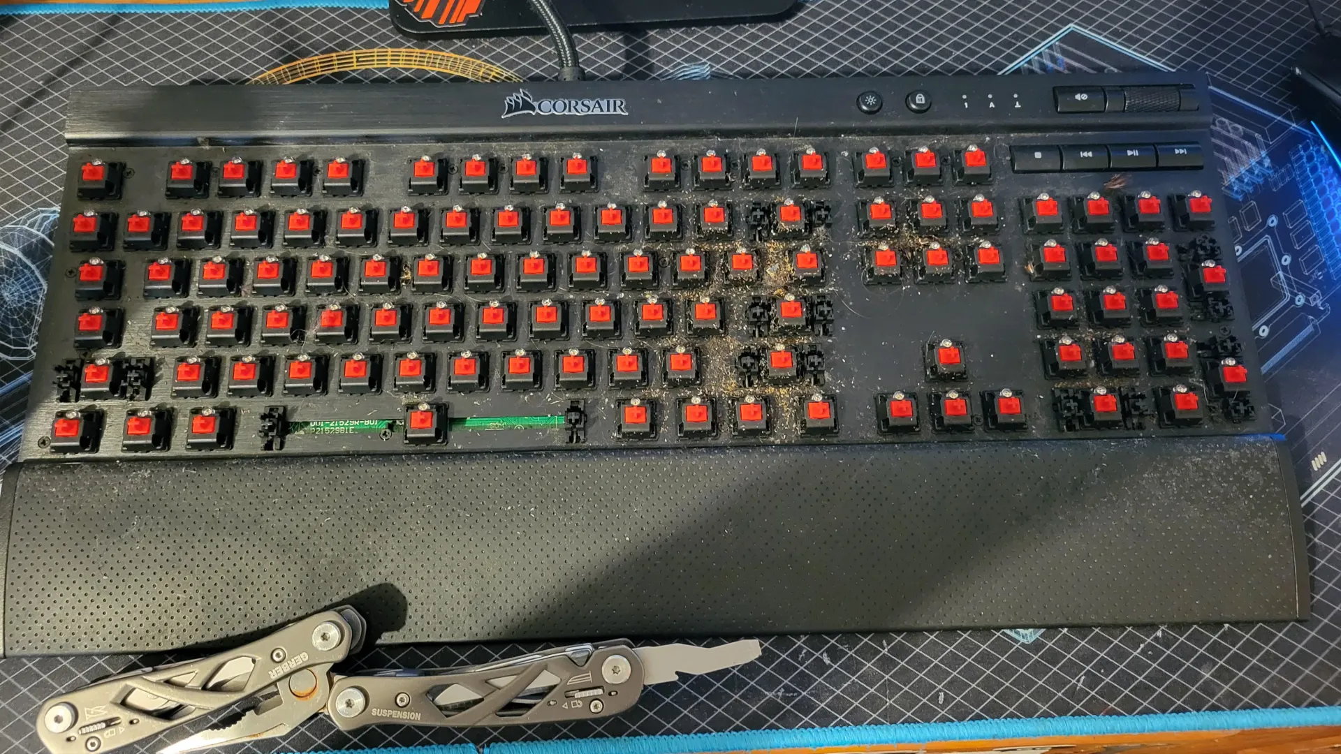 What its like gaming in a roach infested home. posted by imtotally6feettall