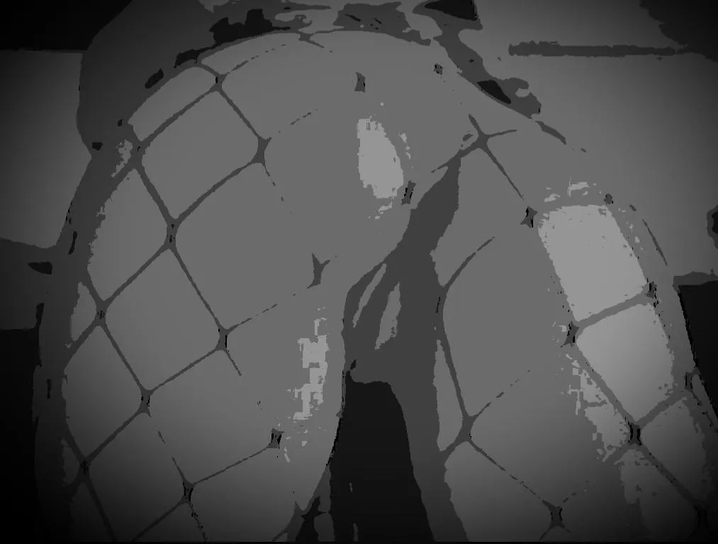 Exhibition couples like to chat? posted by E_Namik