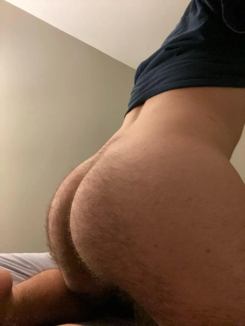 Should I shave it? posted by surfside_duck