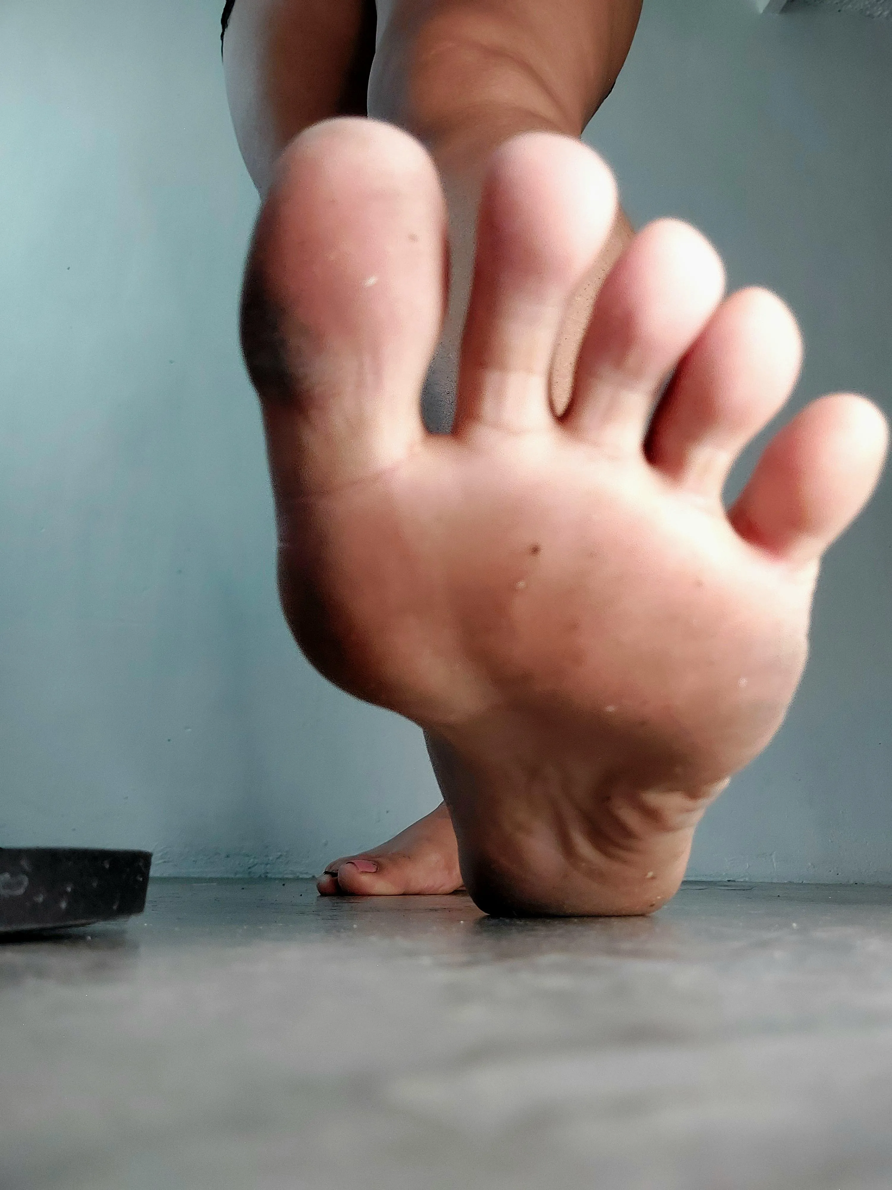 worship them posted by Lotus_bw