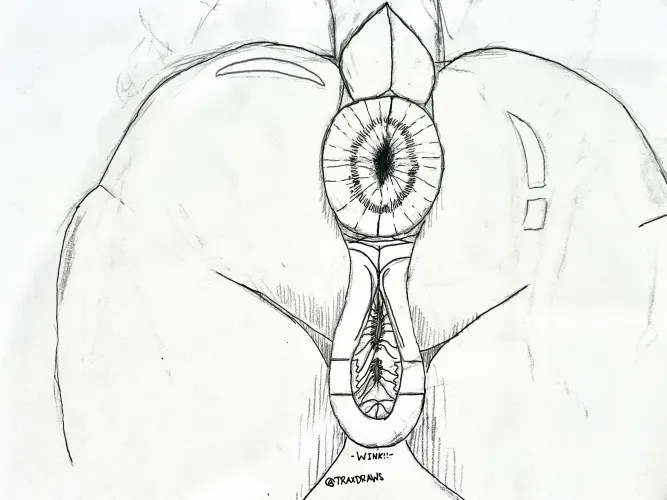 Another sketch by TraxDraws