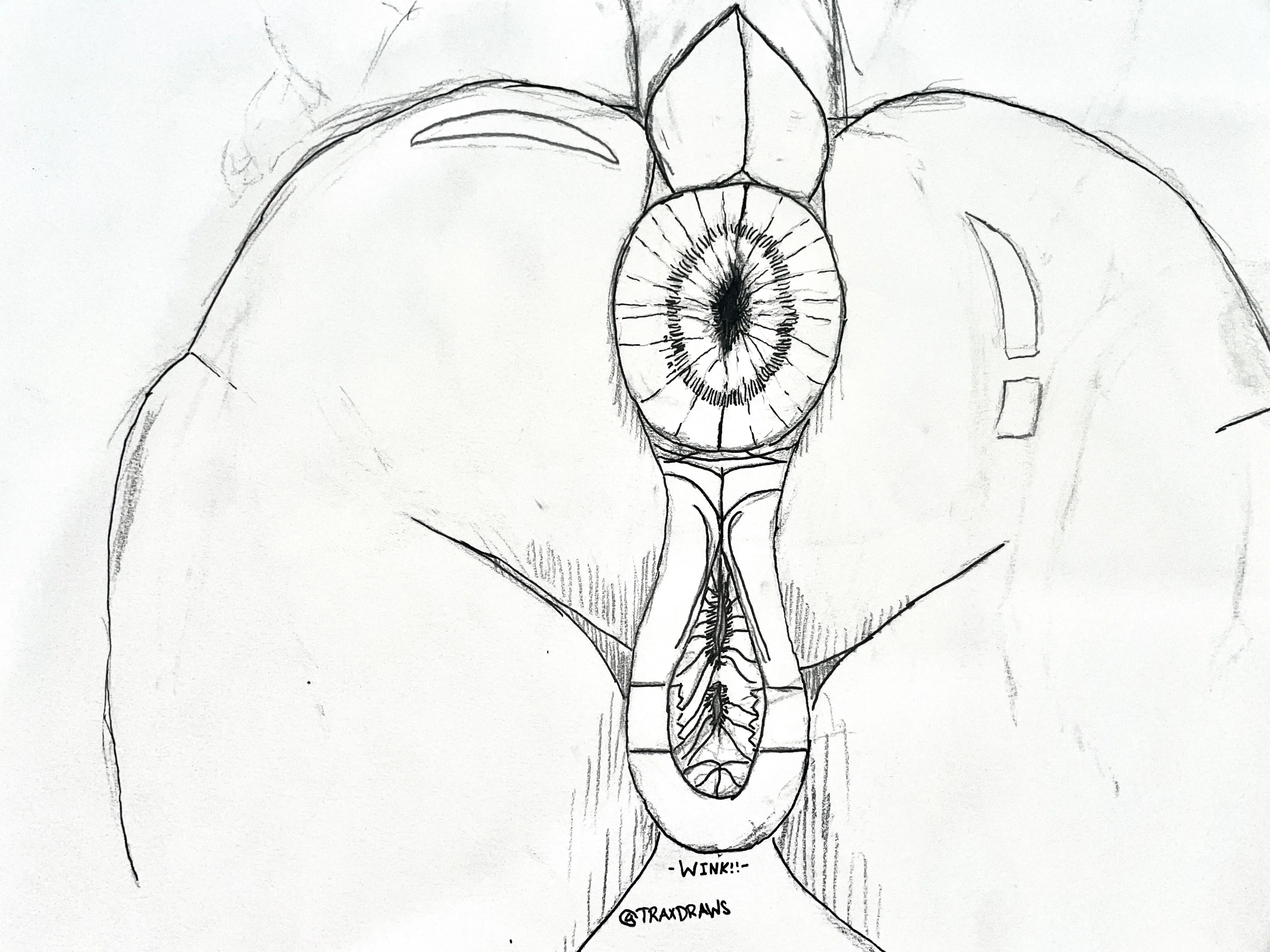 Another sketch posted by TraxDraws