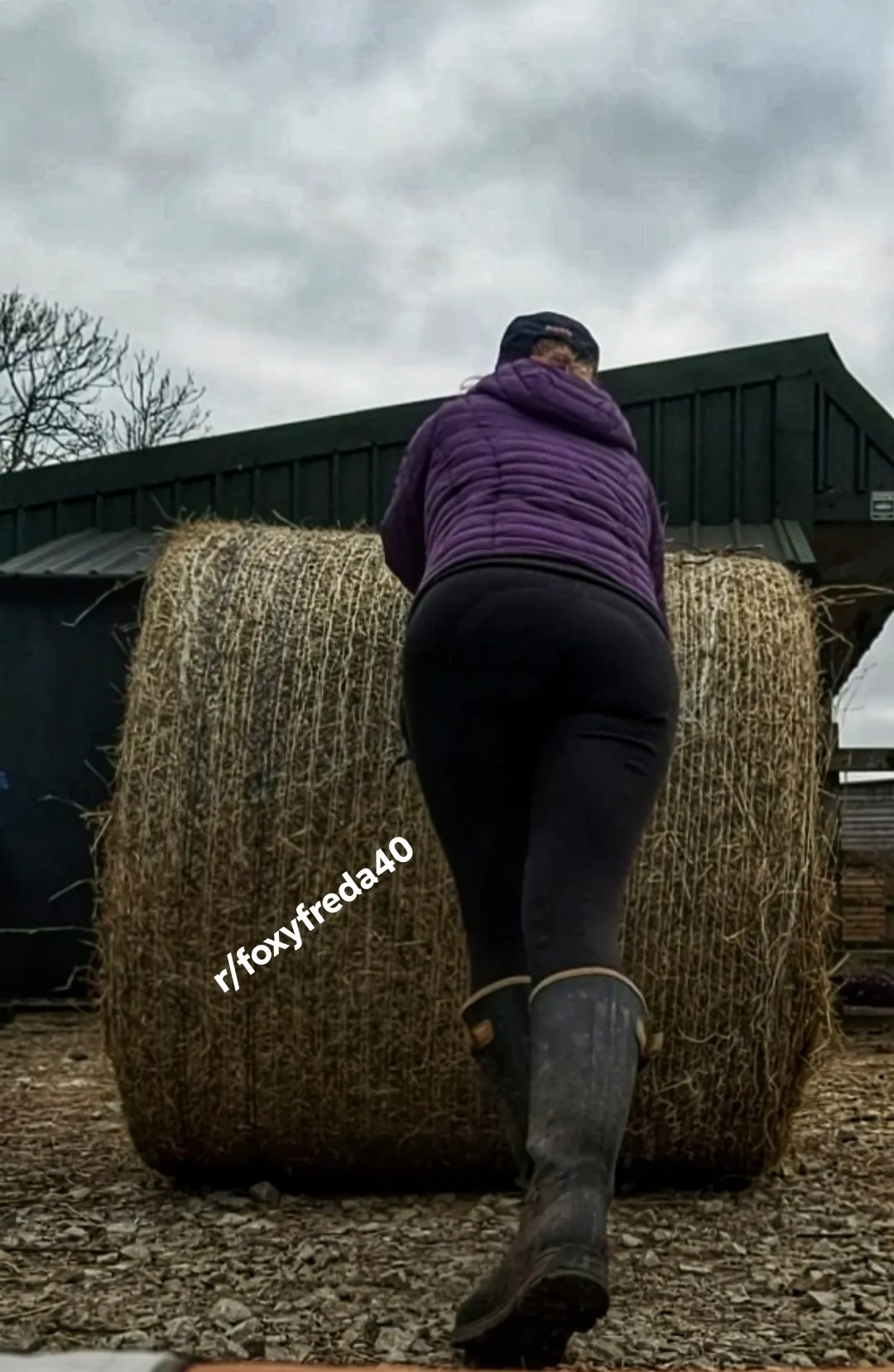 Bales have to be moved so don't sit there and just watch posted by foxyfreda40