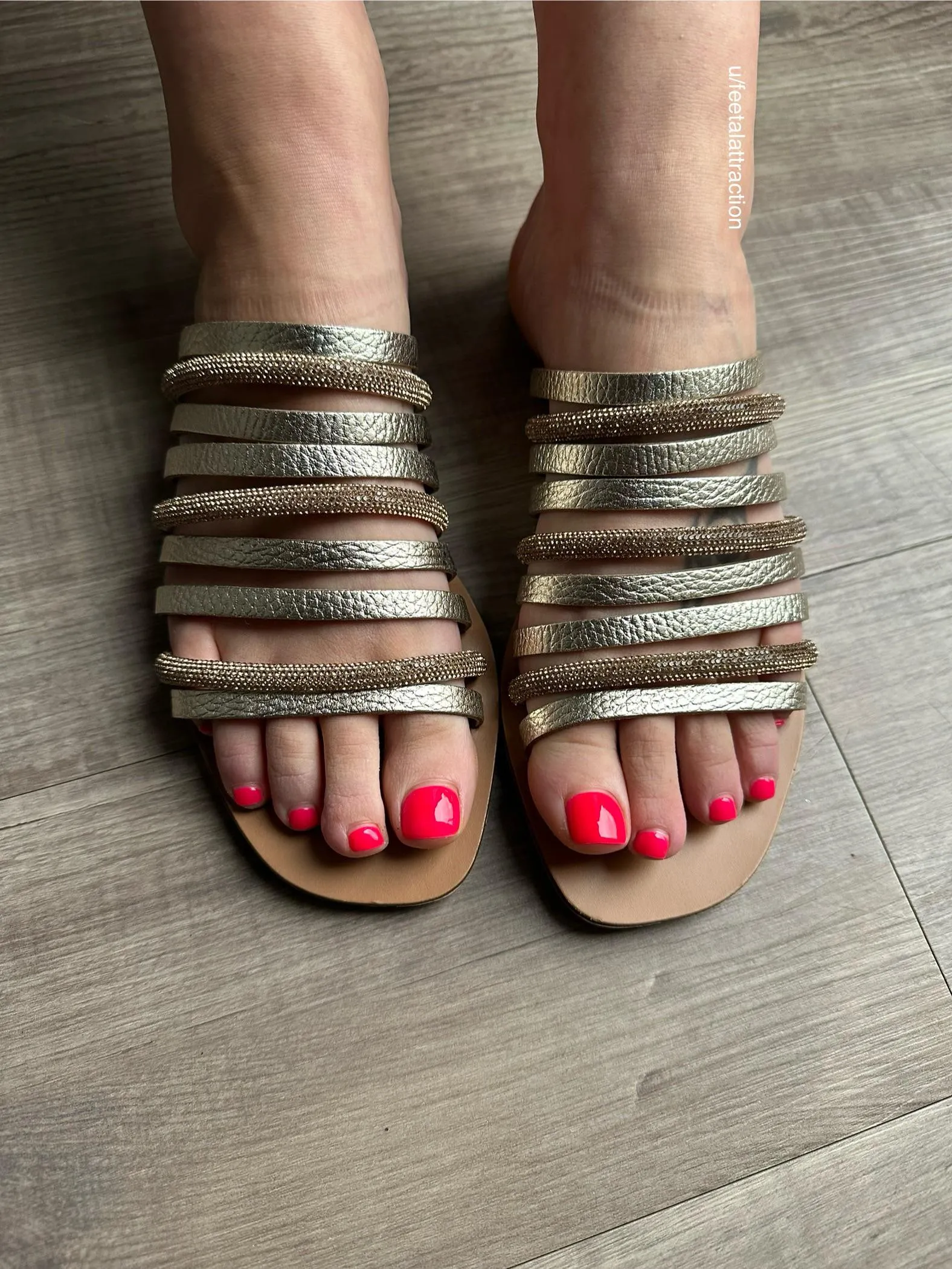 Bound and ready to be shown off! posted by feetalattraction