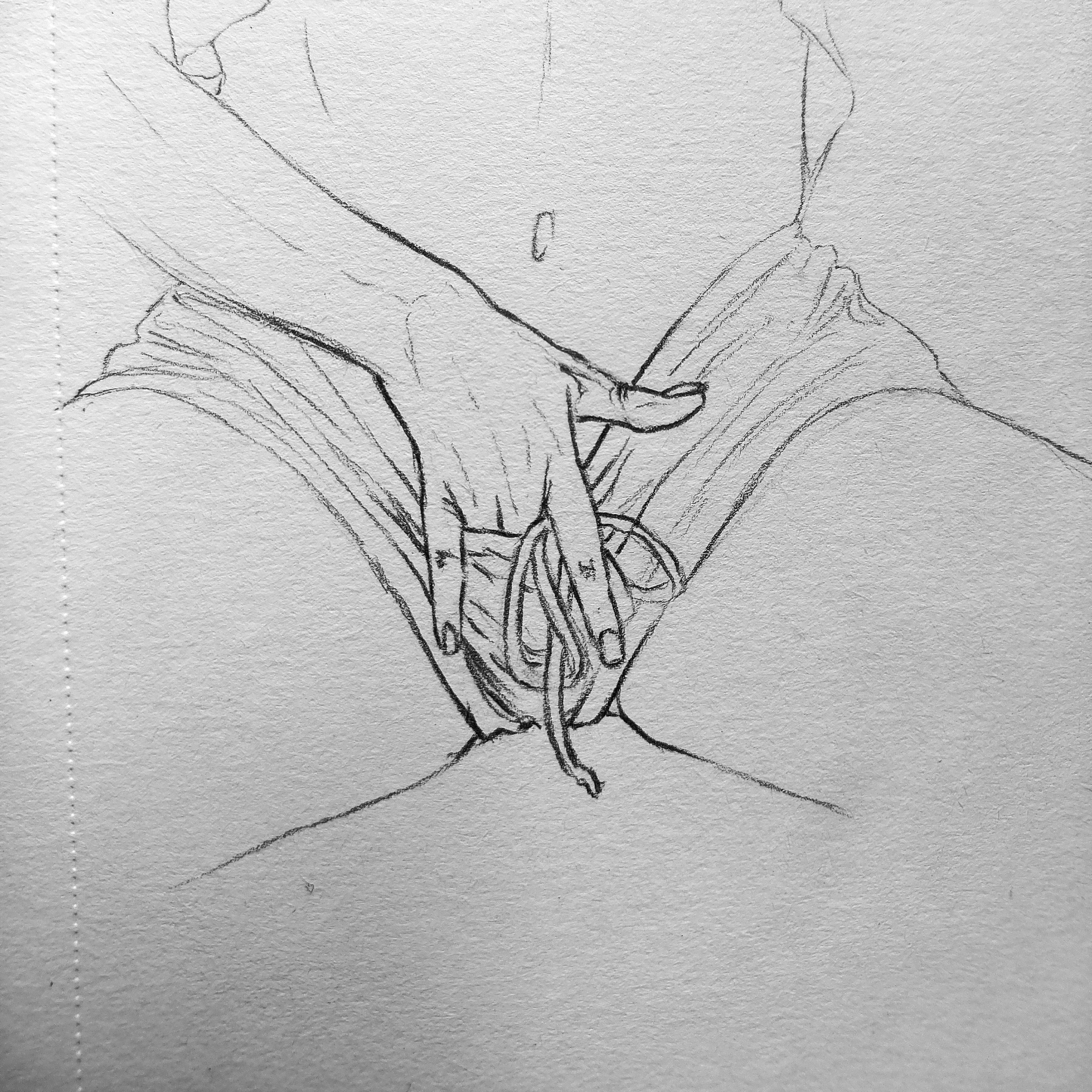 Slipping through by me posted by No_Silver8127