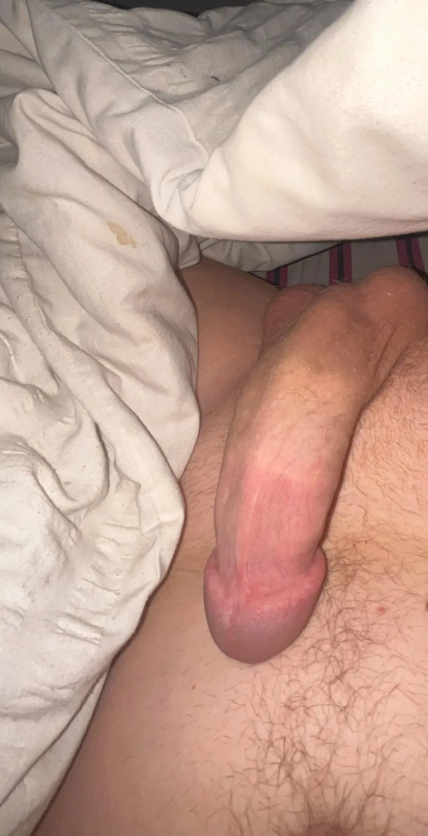 who wants to make me cum 💦 posted by AcanthisittaNo4002