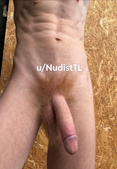 My cock is full of long orange pubes. Hot or not 🧡❤️ by NudistTL