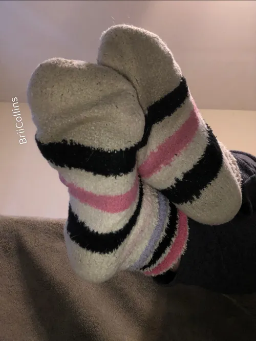 My Fuzzies is your obsession ☺️🧦 by BriiCollins