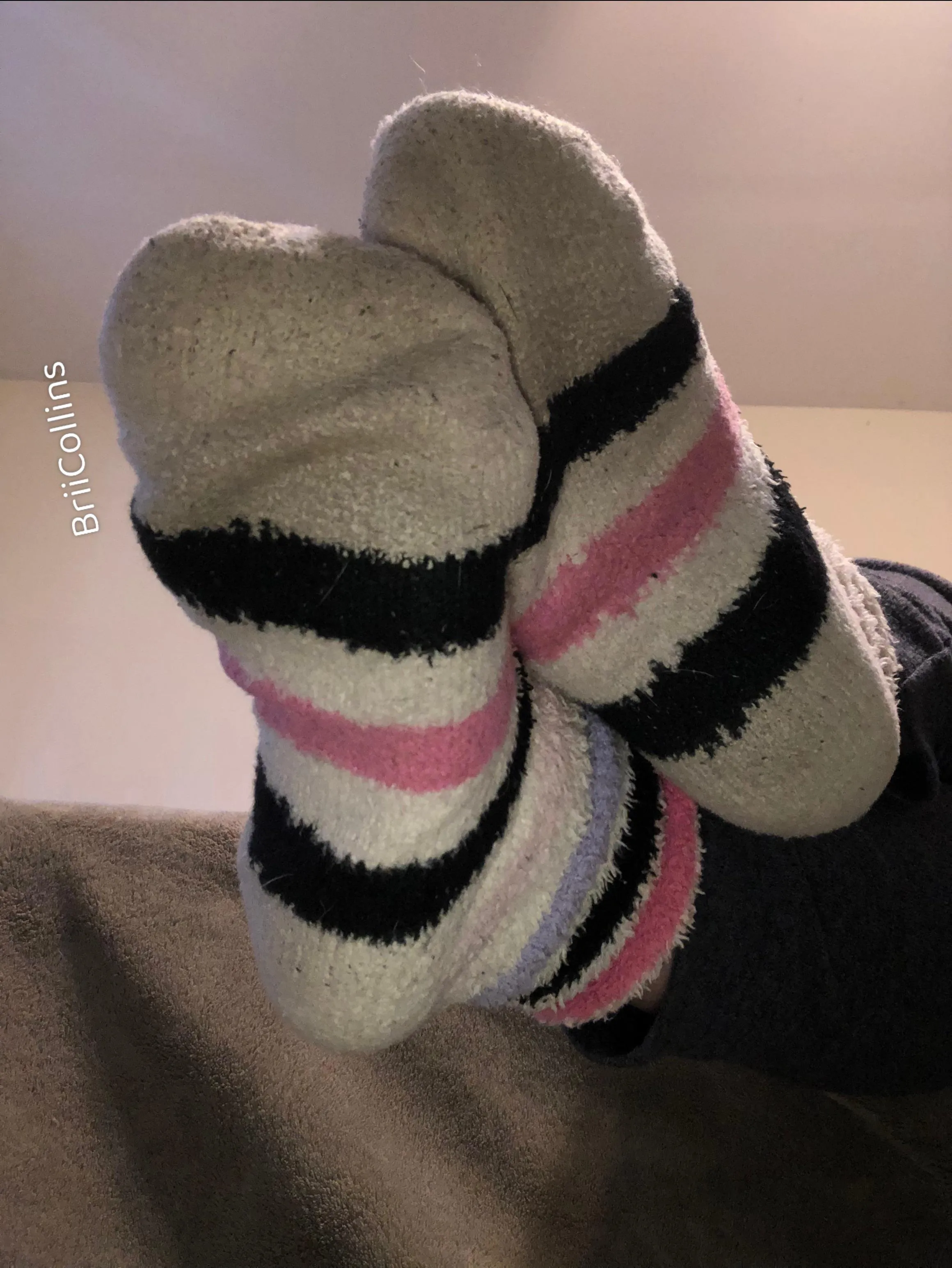 My Fuzzies is your obsession ☺️🧦 posted by BriiCollins