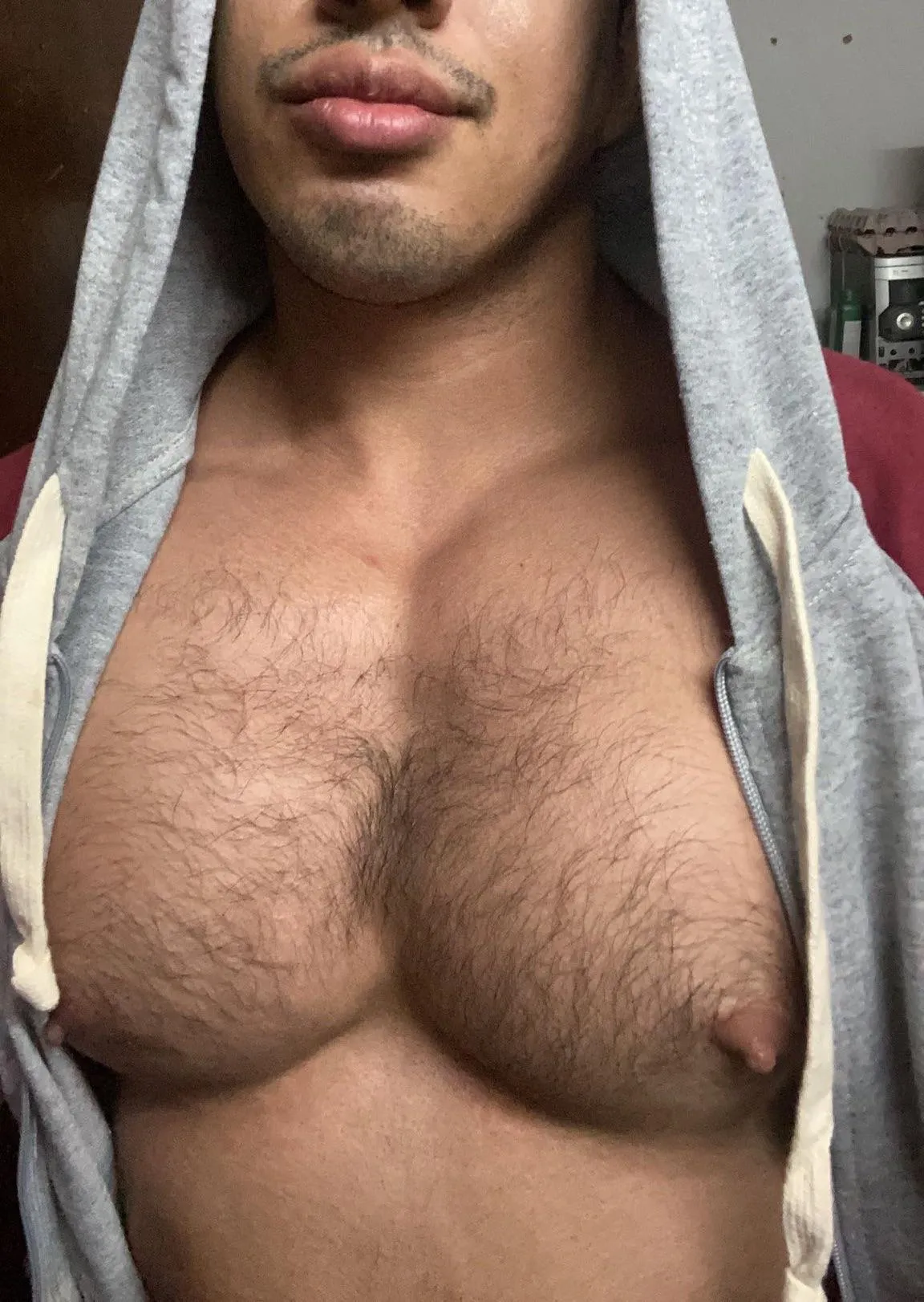 Hairy pecs for you to suck on. posted by thickcockpapi