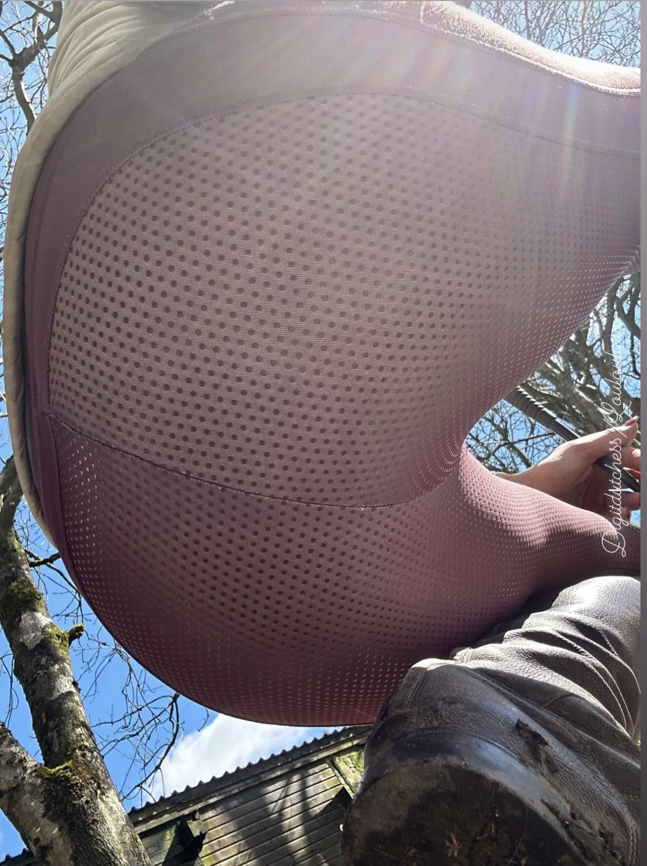 Saddle view….. posted by louloulara