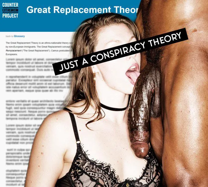 The Great Replacement Theory alleges that people of color are “replacing” white people through immigration, birth rates, and other economic, social and political means posted by [deleted]