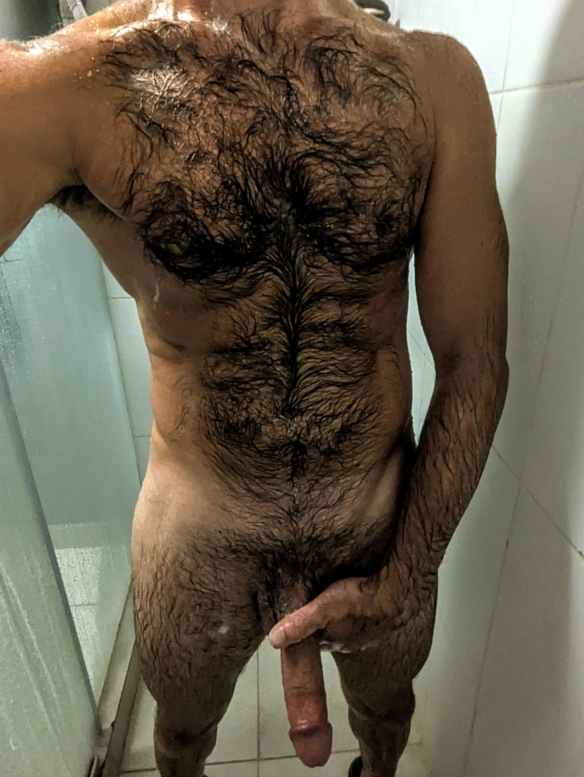 Would you shave your chest if you were me? posted by boboeser