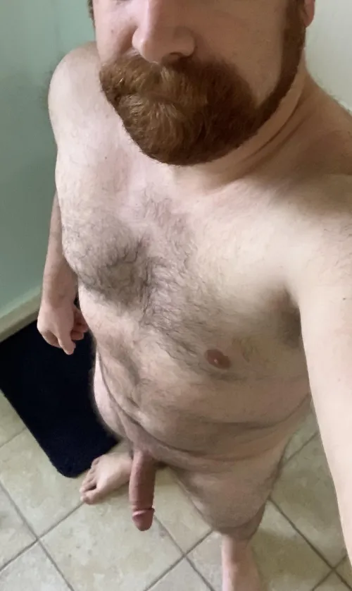 A full red beard for your pleasure by finchfry8