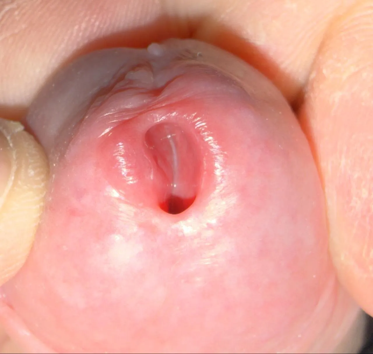 Do I have potential? Who would like to help? 18 DM me posted by ExTrEmE2006