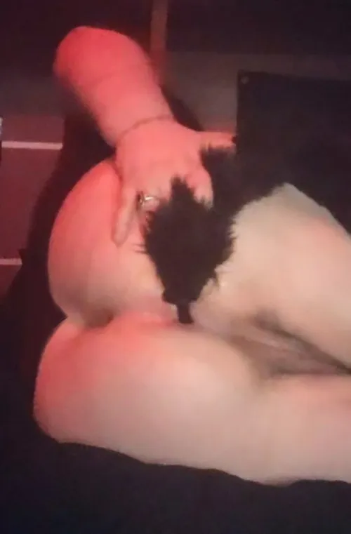 Got ny tailplug in :3 by Emo_Bitch97