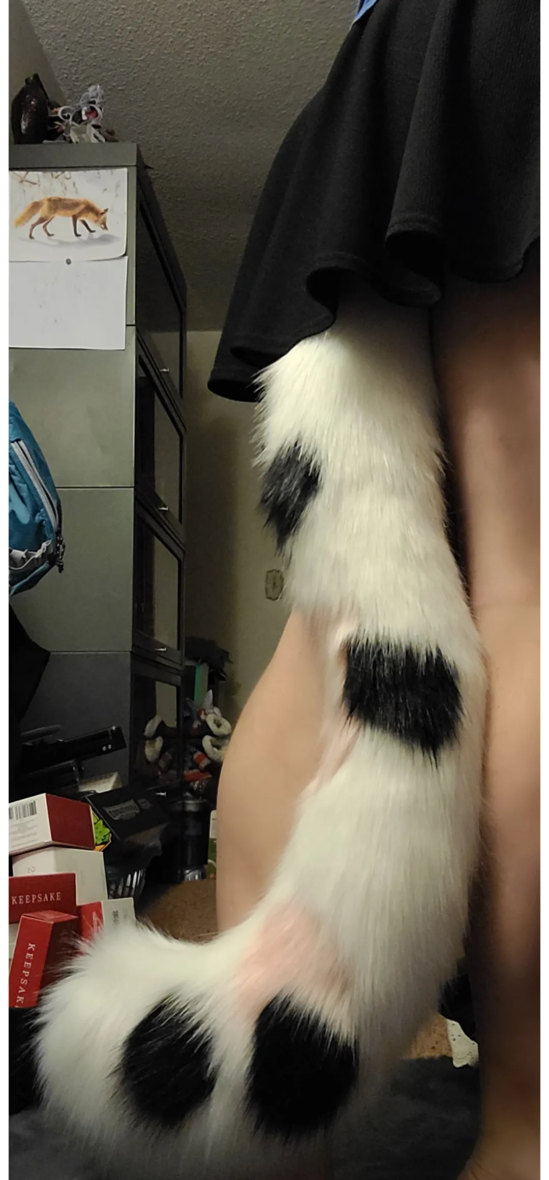 New Kitty Tail posted by nowwhatsgood