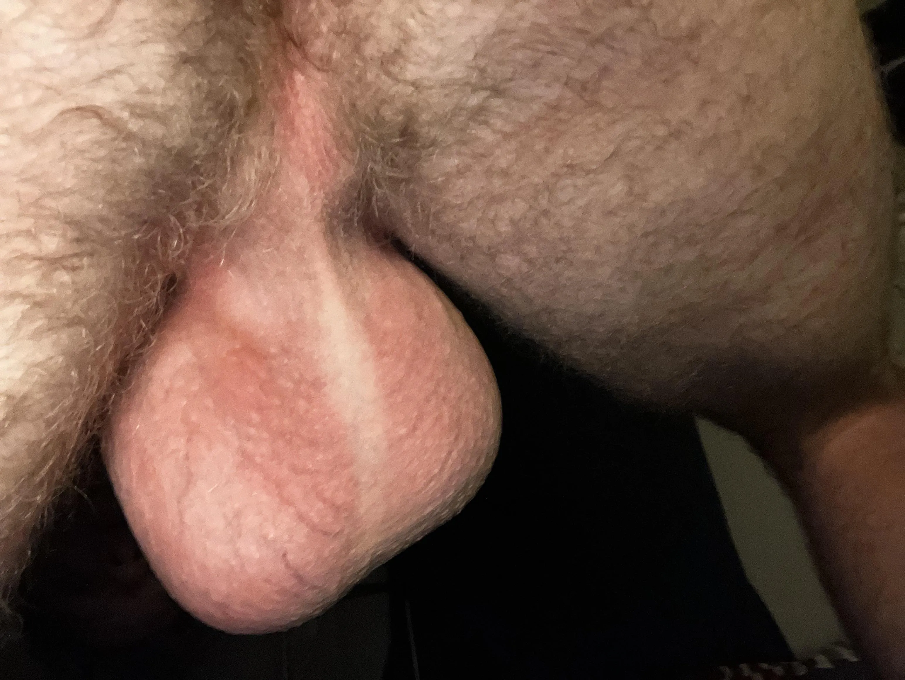 Low Hangers [19] posted by Greg_green2607