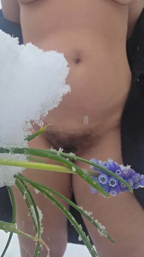 ❄️❄️ by DeviceImpossible1143