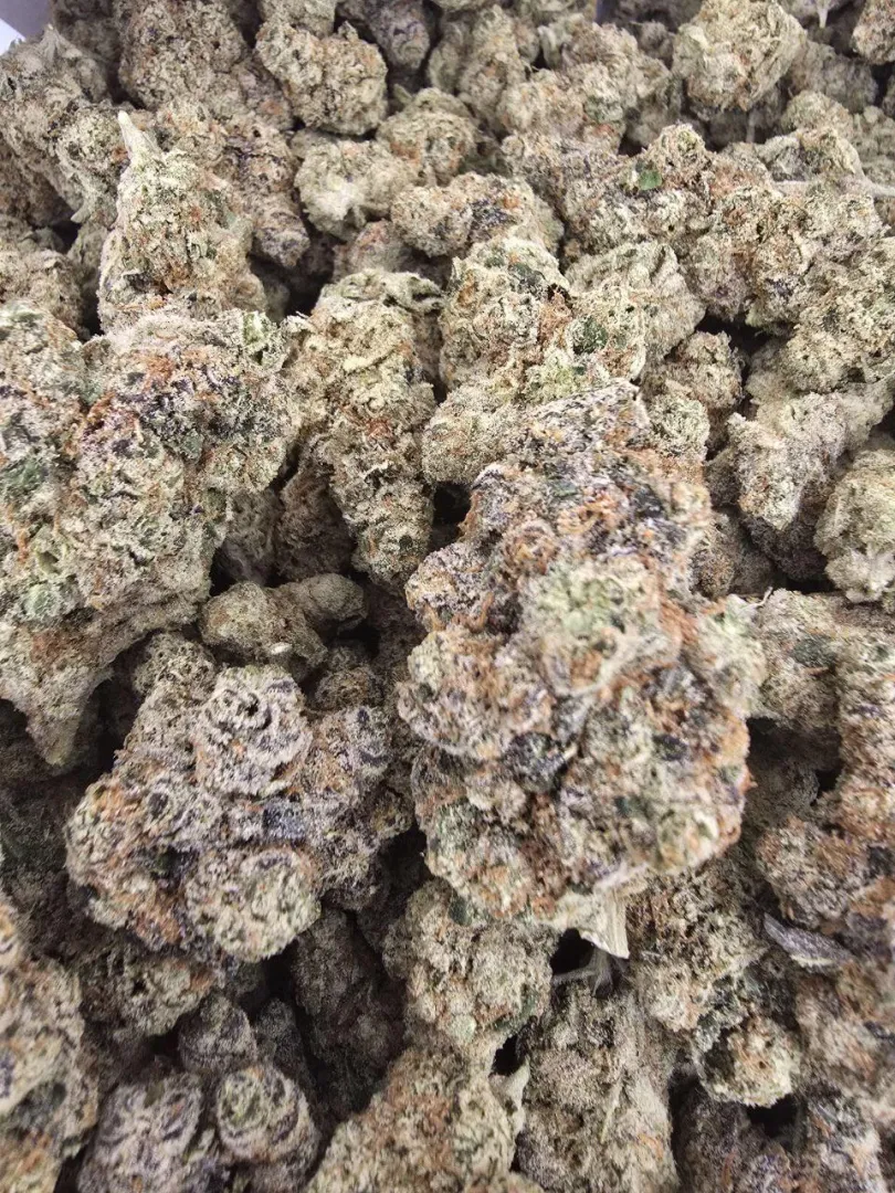  posted by paydacounter