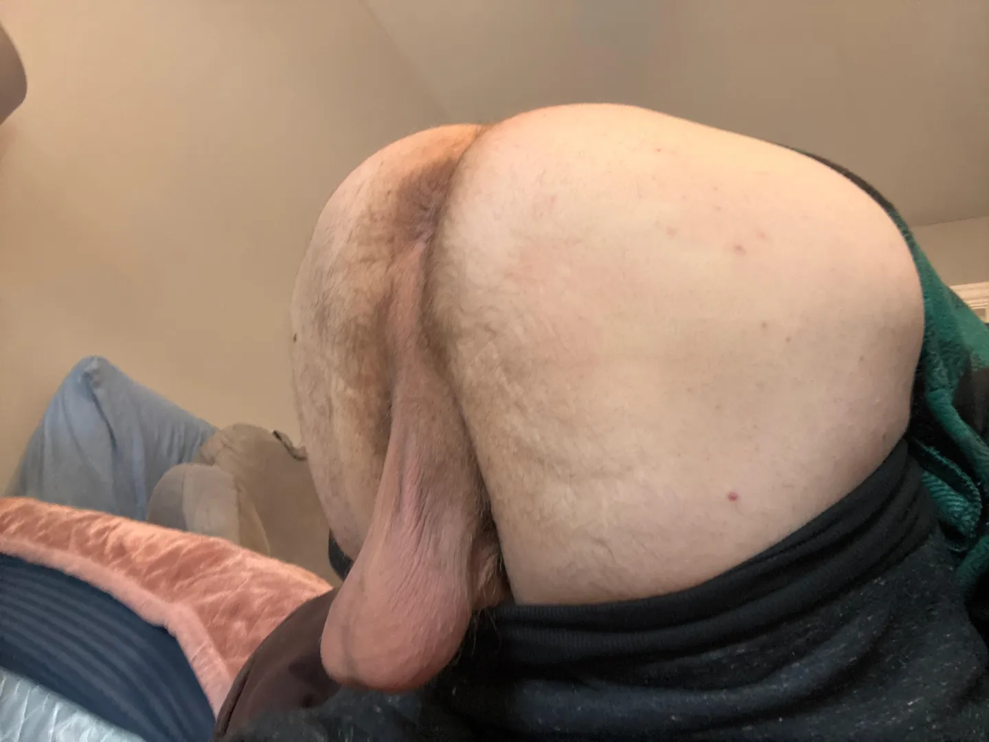 ‍‍‍ posted by SatinTeddyBear