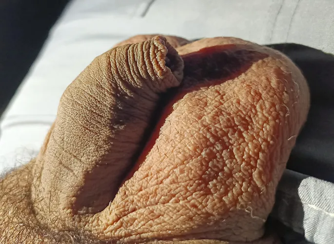  by Fancy_Safety_8291