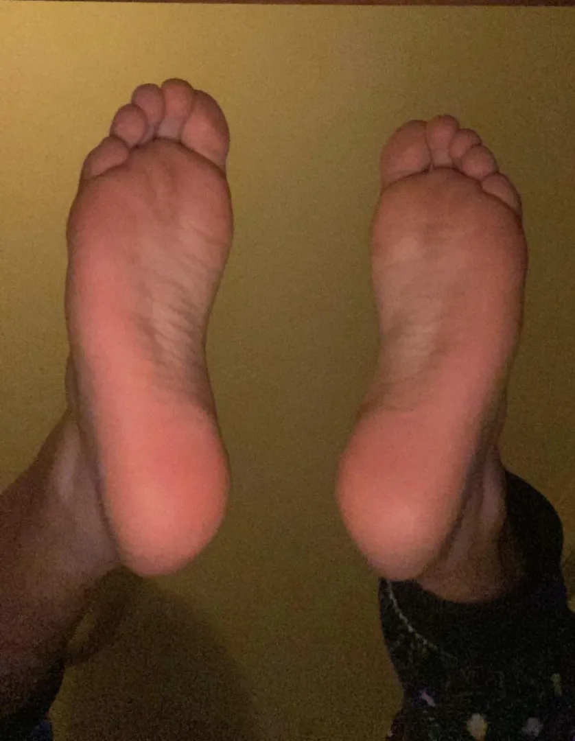  posted by Status-Clerk-756