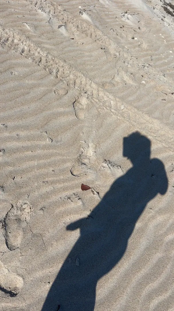  posted by Equal_Bottle_4351