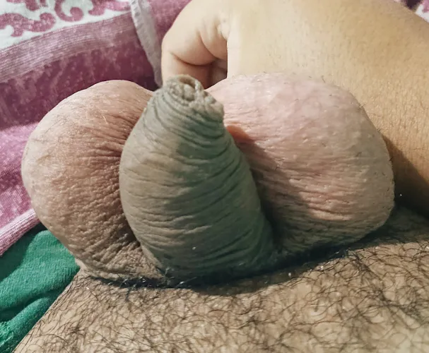  by Fancy_Safety_8291