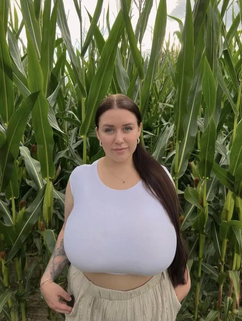  by mrprofessional2626