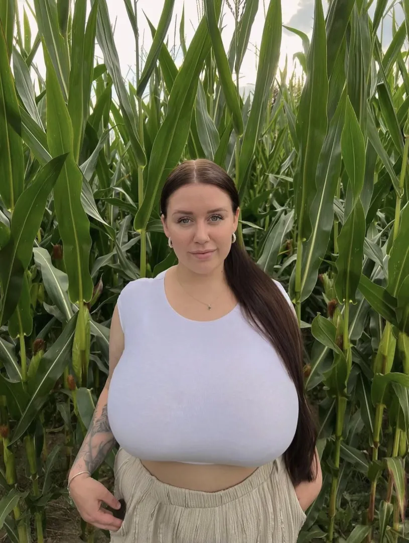  posted by mrprofessional2626