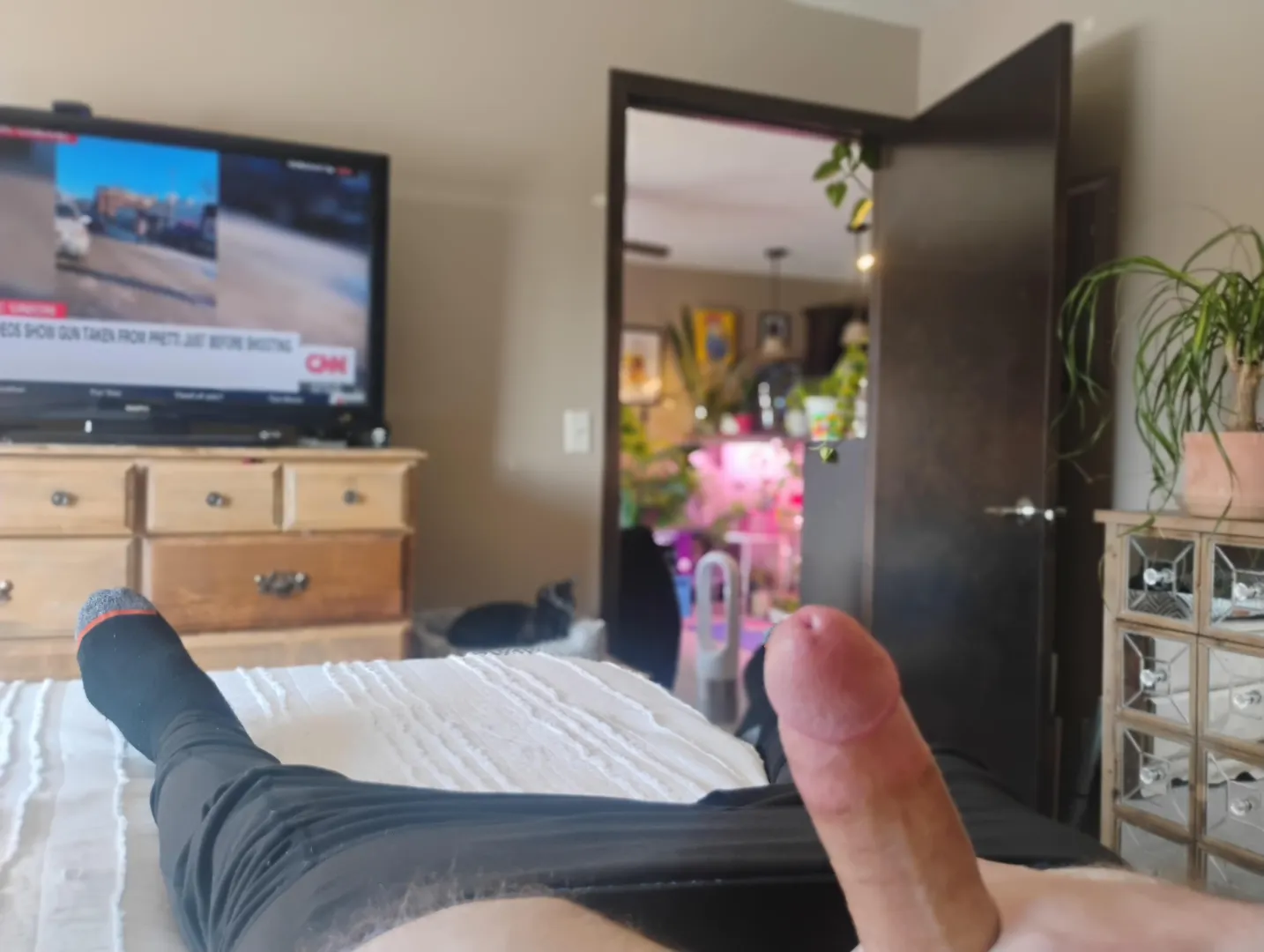  posted by Unlikely_Half4616