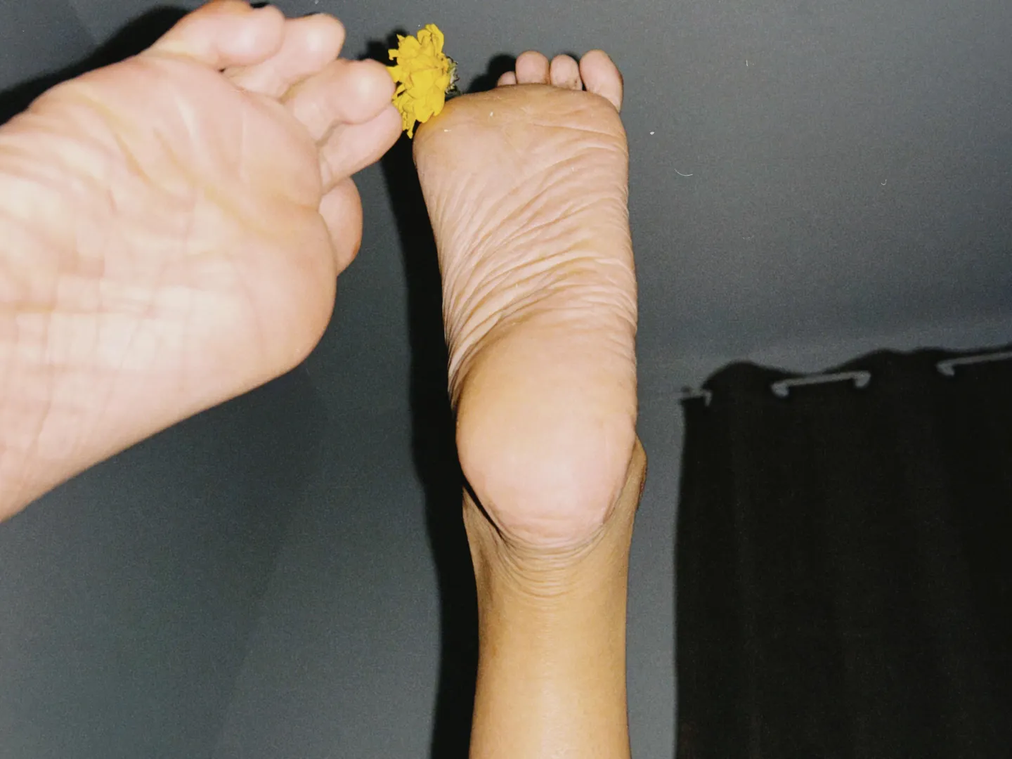  posted by Putrid-Fix6282