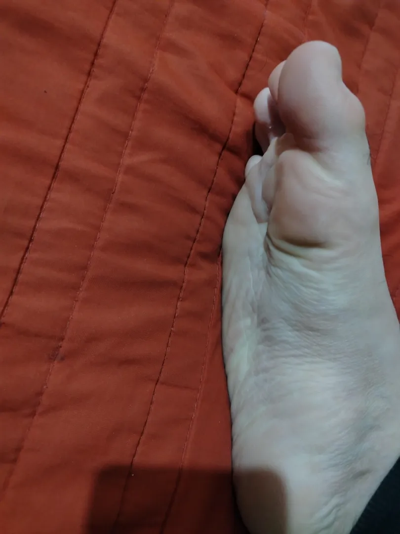  posted by PercentageWorldly961