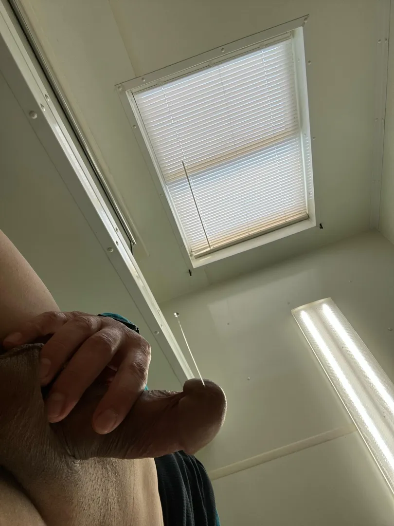  posted by Fair-Smoke-7445