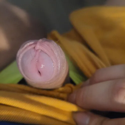  by LabIntelligent7226