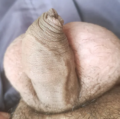 ,  by Fancy_Safety_8291