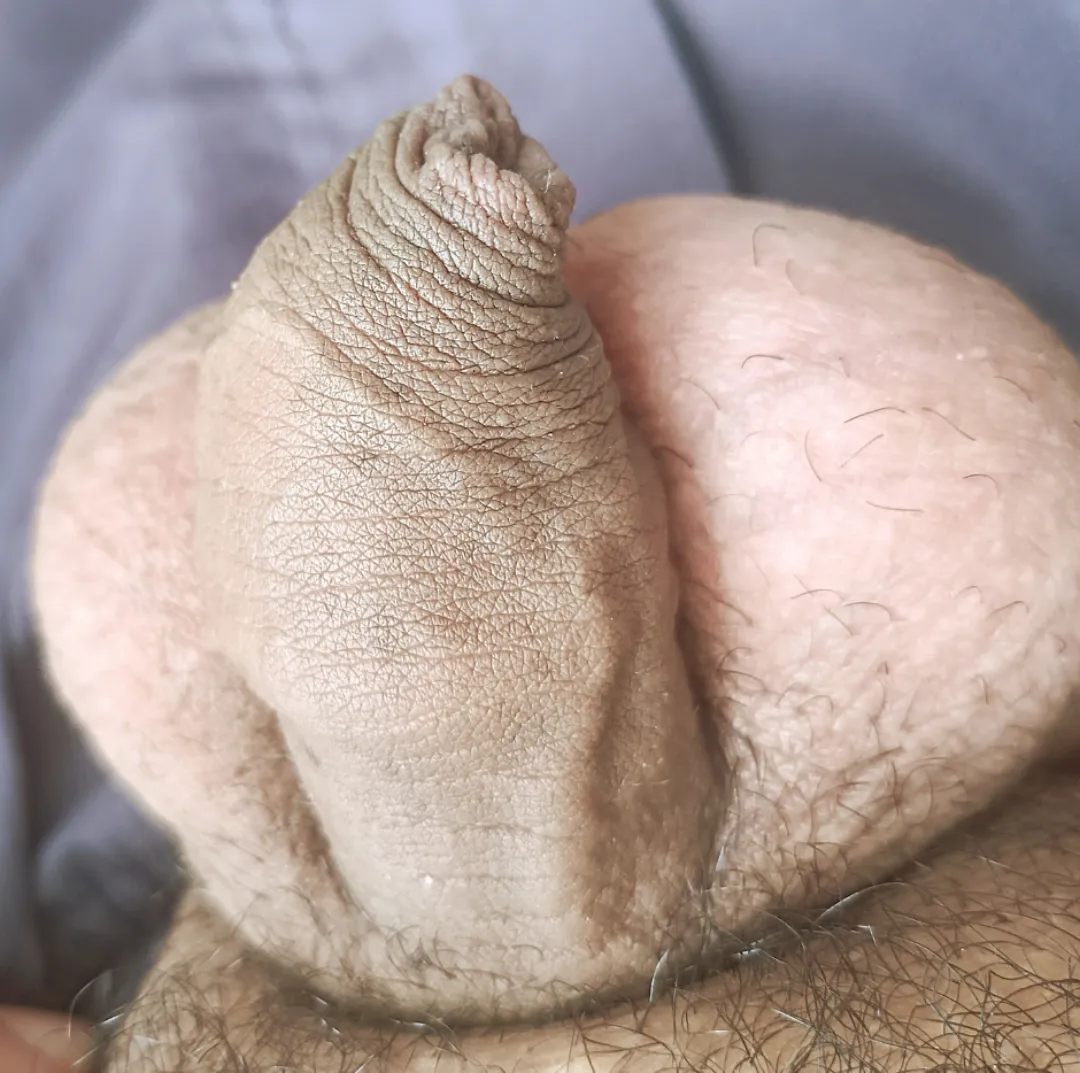 ,  posted by Fancy_Safety_8291