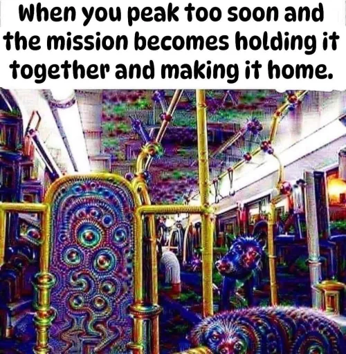  by Aromatic_Reply_1645